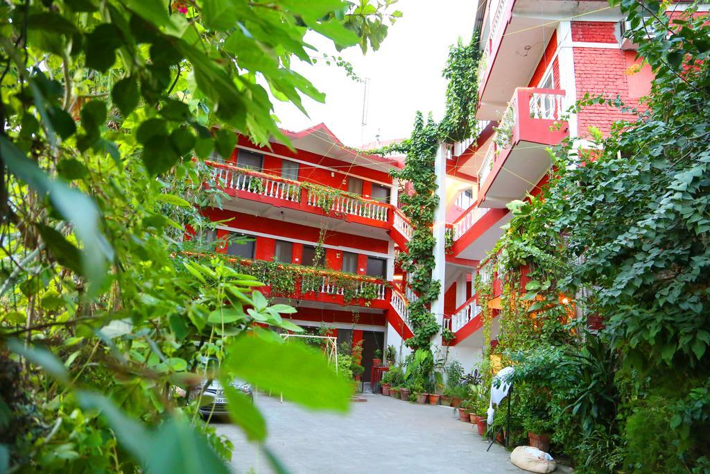 Divine Ganga Cottage Rishīkesh Eksteriør bilde
