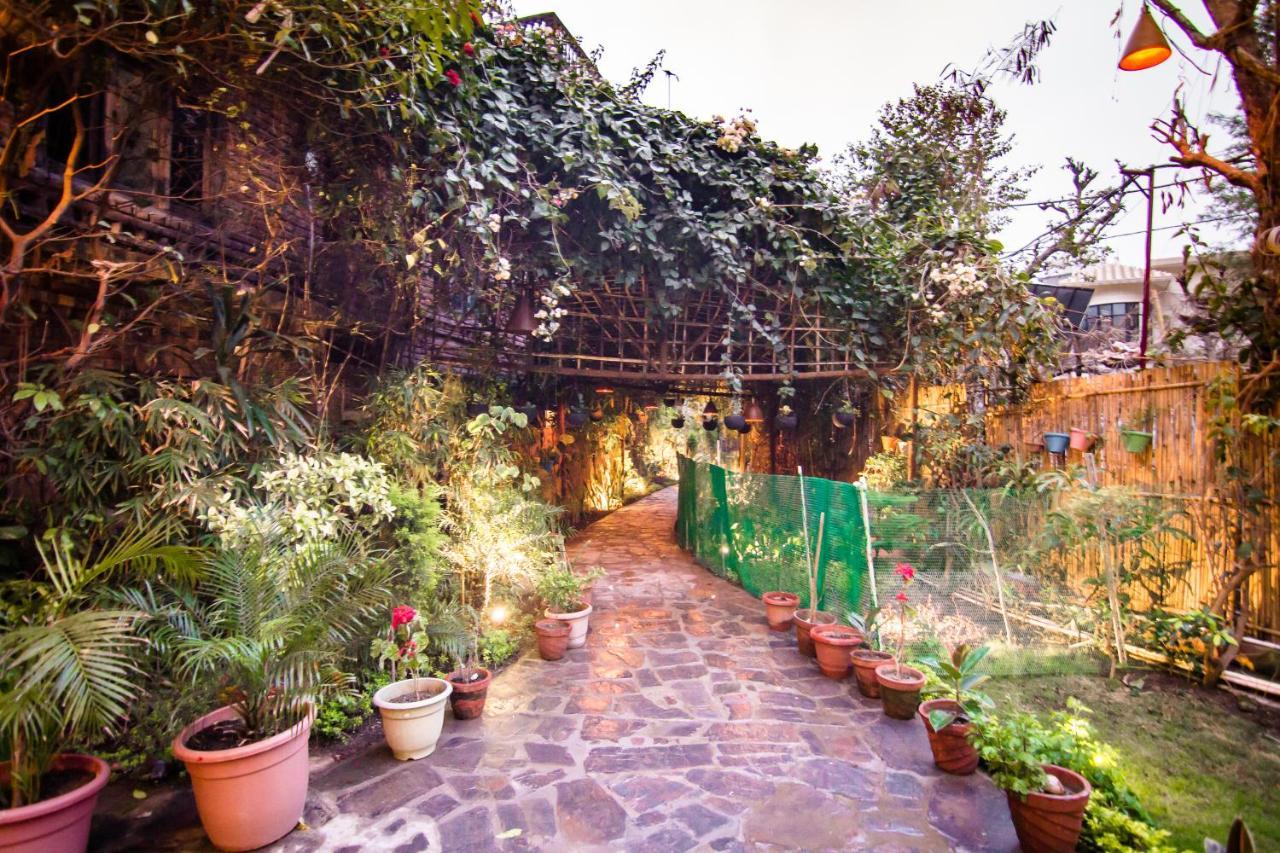 Divine Ganga Cottage Rishīkesh Eksteriør bilde